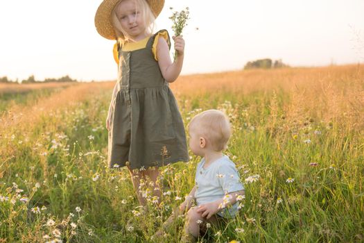 A little boy and a girl are picking flowers in a chamomile field. The concept of walking in nature, freedom and a healthy lifestyle.