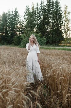 A blonde woman in a long white dress walks in a wheat field. The concept of a wedding and walking in nature.