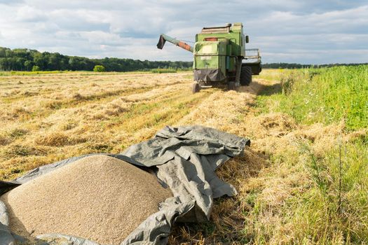 Harvest. Combine harvester harvesting ripe wheat. Agriculture, grain already unloaded on the ground. Problems with lack of grain, famine