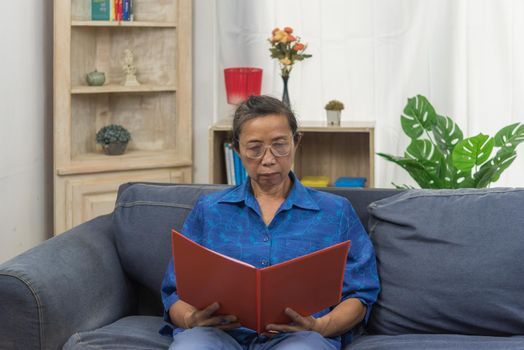 Senior asian planing retirement insurance health care contract on sofa.