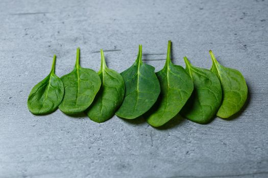Filled spinach leaves on a grey table