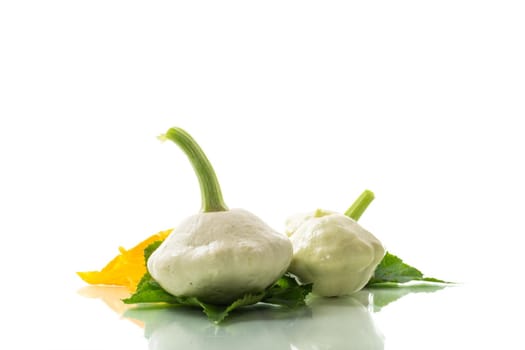 fresh organic squash with flowers and foliage isolated on white background