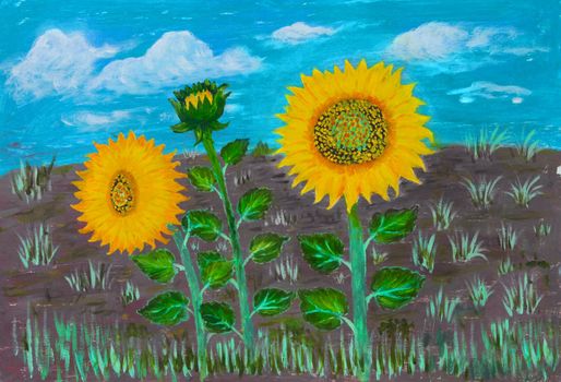 Oil painting on canvas of three large sunflower blooms in a field
