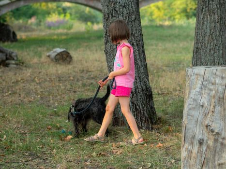 little girl walking the dog in a park