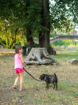 little girl walking the dog in a park