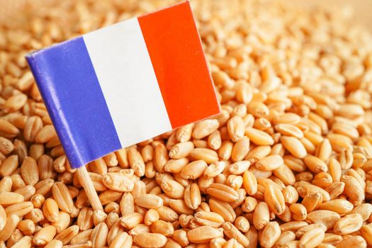 France on grain wheat, trade export and economy concept.