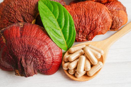 Lingzhi or Reishi mushroom with capsules, organic natural healthy food.