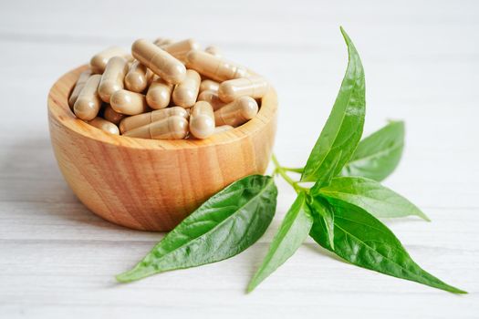 Andrographis paniculata or Kariyat leaf plant with herb capsules to treating covid19 coronavirus infection.