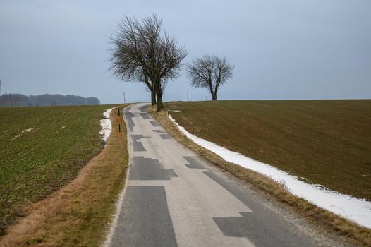 A narrow country road leads through a bare landscape with few trees and a little snow on the roadside.