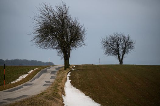 A narrow country road leads through a bare landscape with few trees and a little snow on the roadside.