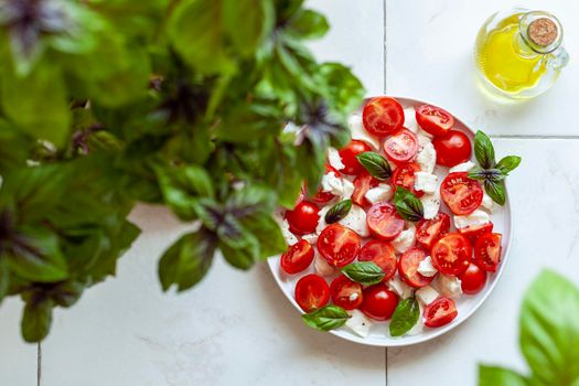 portion of caprese salad under basil plant, concept of home gardening, top view