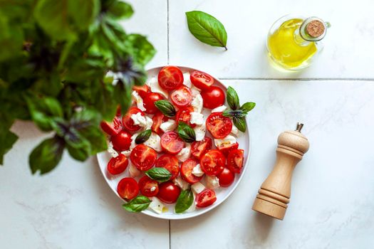 portion of caprese salad under basil plant, concept of home gardening, top view, copyspace