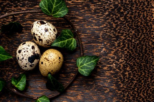 three quail eggs on a wooden stand. Palm tree stand. Around the eggs is a sprig of ivy