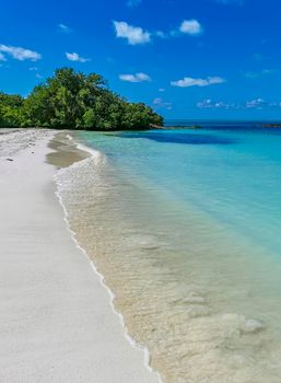 Amazing landscape panorama view with turquoise blue water palm trees blue sky and the natural tropical beach and the forest on the beautiful island of Contoy in Quintana Roo Mexico.