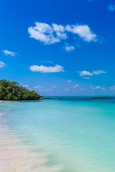 Amazing landscape panorama view with turquoise blue water palm trees blue sky and the natural tropical beach and the forest on the beautiful island of Contoy in Quintana Roo Mexico.