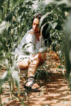 A brunette girl in a white dress in a cornfield. The concept of harvesting.