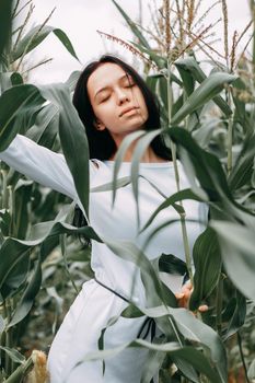 A brunette girl in a white dress in a cornfield. The concept of harvesting.