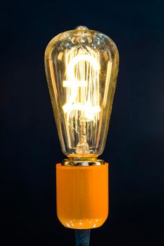 Money making idea. Light bulb with Pound sterling  symbol.