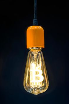 Money making idea. Light bulb with Bitcoin symbol.