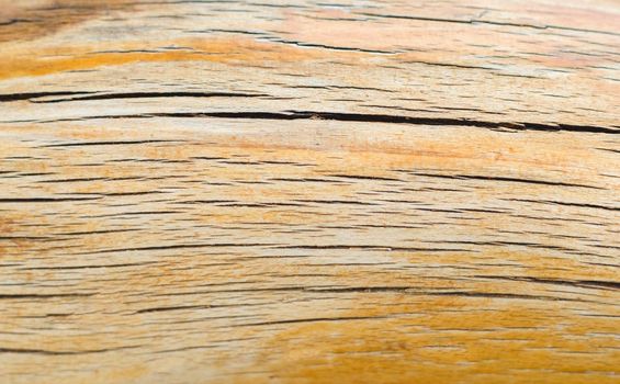 wood texture close-up