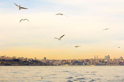 Istanbul the capital of Turkey, eastern tourist city.