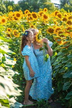 Family photo in a field of sunflowers. Ukraine. Selective focus. Nature.