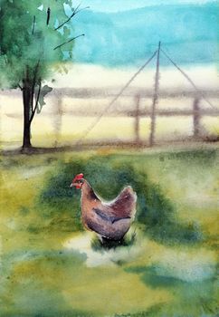 Catalana hen. Poultry farming. Chicken breeds series. domestic farm bird watercolor illustration.