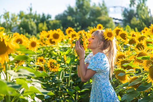 Woman in a field of sunflowers. Ukraine. Selective focus. Nature.
