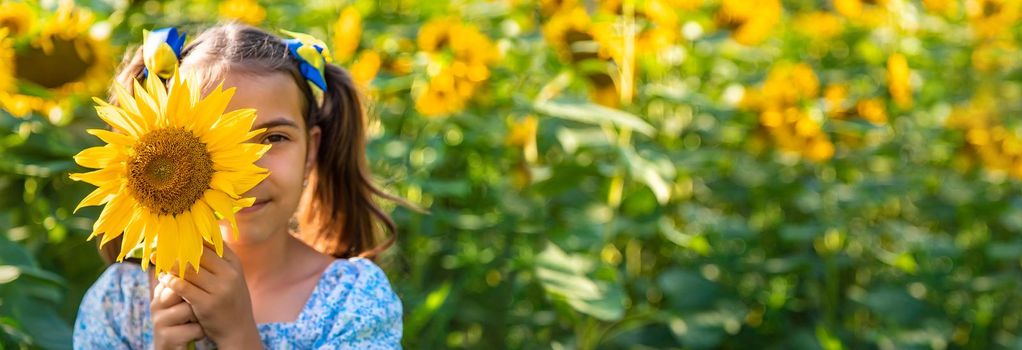 A child in a field of sunflowers. Ukraine. Selective focus. Nature.