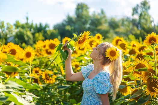 Woman in a field of sunflowers. Ukraine. Selective focus. Nature.