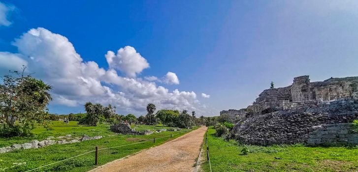 Ancient Tulum ruins Mayan site with temple ruins pyramids and artifacts in the tropical natural jungle forest palm and seascape panorama view in Tulum Mexico.