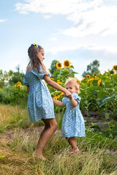 A child in a field of sunflowers. Ukraine. Selective focus. Nature.