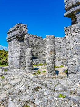 Ancient Tulum ruins Mayan site with temple ruins pyramids and artifacts in the tropical natural jungle forest palm and seascape panorama view in Tulum Mexico.