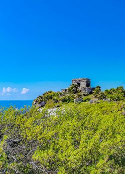 Ancient Tulum ruins Mayan site with temple ruins pyramids and artifacts in the tropical natural jungle forest palm and seascape panorama view in Tulum Mexico.