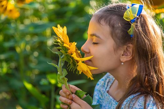 A child in a field of sunflowers. Ukraine. Selective focus. Nature.