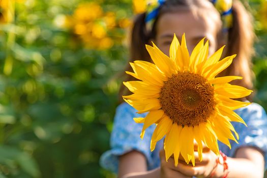 A child in a field of sunflowers. Ukraine. Selective focus. Nature.