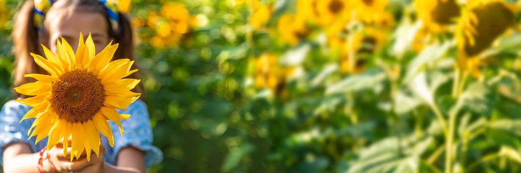 A child in a field of sunflowers. Ukraine. Selective focus. Nature.