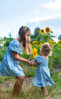 A child in a field of sunflowers. Ukraine. Selective focus. Nature.