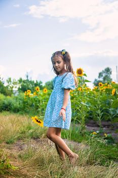 A child in a field of sunflowers. Ukraine. Selective focus. Nature.