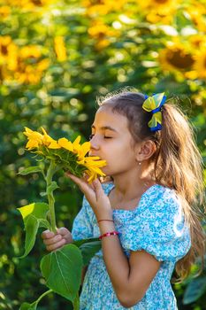 A child in a field of sunflowers. Ukraine. Selective focus. Nature.