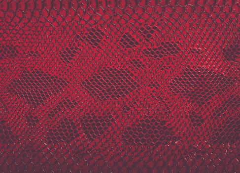 Snake skin background. Close up.