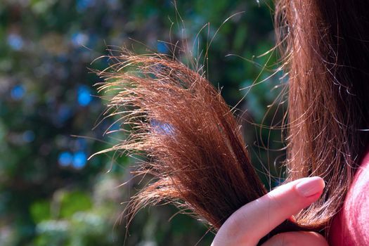 Broken hair in a natural green environment. Young woman holds a lock of hair in her hand.