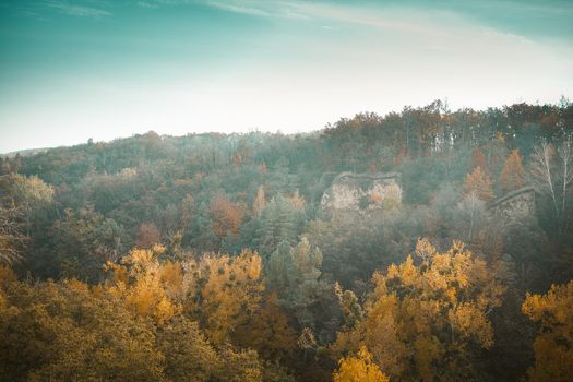Multicolor Autumn Landscape Of Autumn Forest, Light Fog Spreads Over Yellow And Orange And Green Autumn Trees Growing On Rocks Under Clear Blue Sky