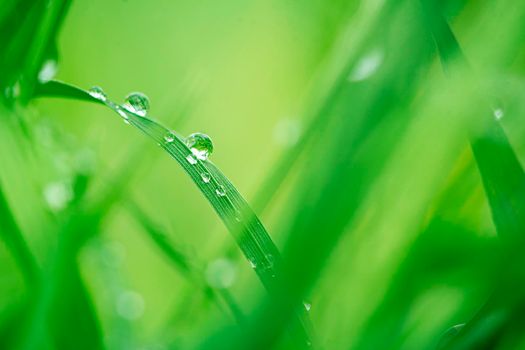 Abstract natural backgrounds with beauty bokeh