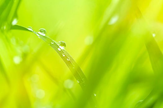 Abstract natural backgrounds with beauty bokeh