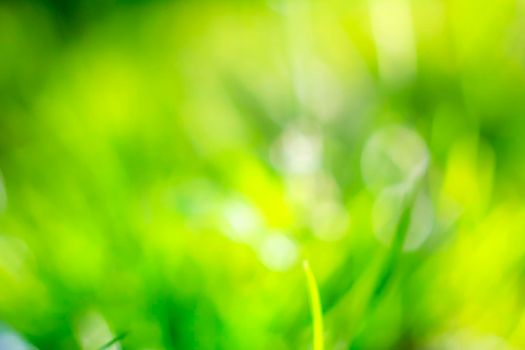 Abstract natural backgrounds with beauty bokeh