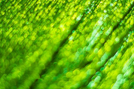 Green bokeh. Abstract background. Defocused lights.