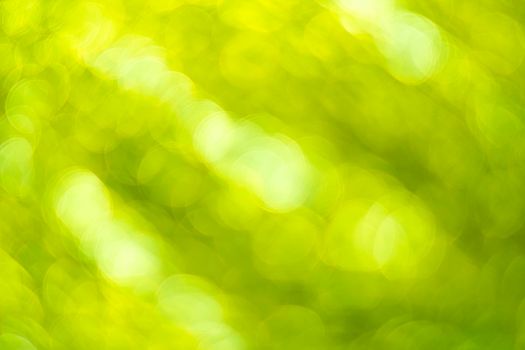 Green bokeh. Abstract background. Defocused lights.