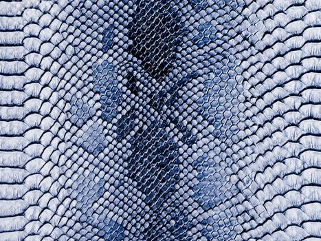 Snake skin background. Close up.