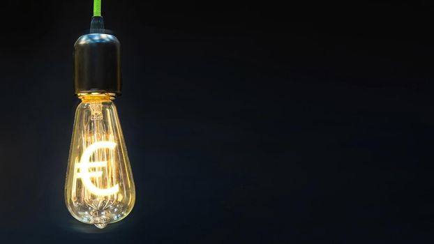 Money making idea. Light bulb with Euro symbol.